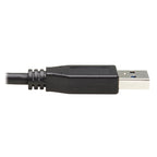 Tripp Lite U428-20N USB cable USB 3.2 Gen 1 (3.1 Gen 1) 19.7" (0.5 m) USB C USB A Black