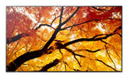 Sharp MultiSync PN-M752 74.5" LED 550 cd/m² 4K Ultra HD Black 24/7