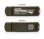 iStorage Kanguru Defender 3000 USB flash drive 256 GB USB Type-C 3.2 Gen 1 (3.1 Gen 1) Gray