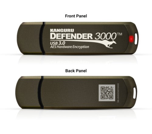 iStorage Kanguru Defender 3000 USB flash drive 256 GB USB Type-C 3.2 Gen 1 (3.1 Gen 1) Gray