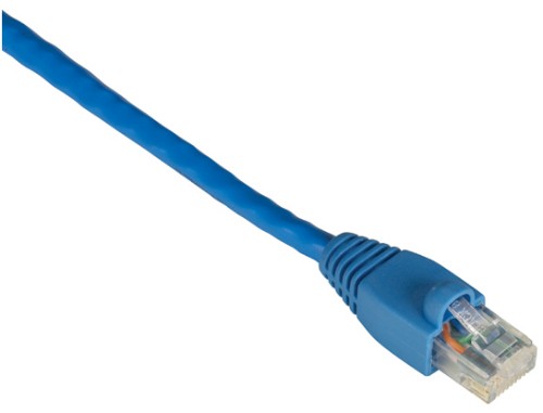 Black Box 6m Cat6 UTP 550 MHz networking cable Blue 236.2" (6 m) U/UTP (UTP)