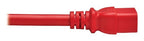 Eaton P036-EN3-ARD-6 power cable Red 35.4" (0.9 m) C20 coupler C19 coupler