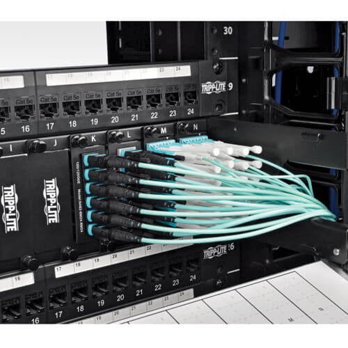 Tripp Lite N844-02M-12-P InfiniBand/fibre optic cable 72" (1.83 m) MTP Black, Turquoise