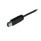 StarTech.com USB31CB1M USB cable USB 3.2 Gen 2 (3.1 Gen 2) 39.4" (1 m) USB C USB B Black