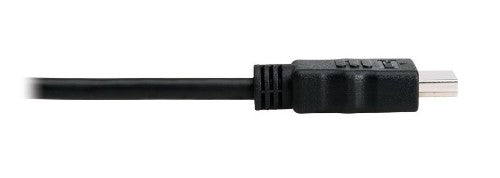 Eaton P130-06N-DP-8K video cable adapter 39.4" (1 m) DisplayPort HDMI Black