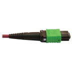 Eaton N846D-01M-16CMG InfiniBand/fibre optic cable 39.4" (1 m) MPO/MTP OFNP Magenta