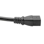 Tripp Lite P040-010 power cable Black 120.1" (3.05 m) C19 coupler NEMA L6-20P