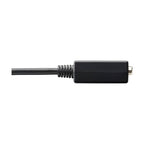Tripp Lite P134-06N-VGA video cable adapter 5.91" (0.15 m) DisplayPort VGA (D-Sub) Black