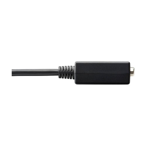 Tripp Lite P134-06N-VGA video cable adapter 5.91" (0.15 m) DisplayPort VGA (D-Sub) Black