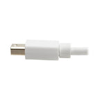 Tripp Lite P139-06N-DP-V2B video cable adapter 5.91" (0.15 m) White