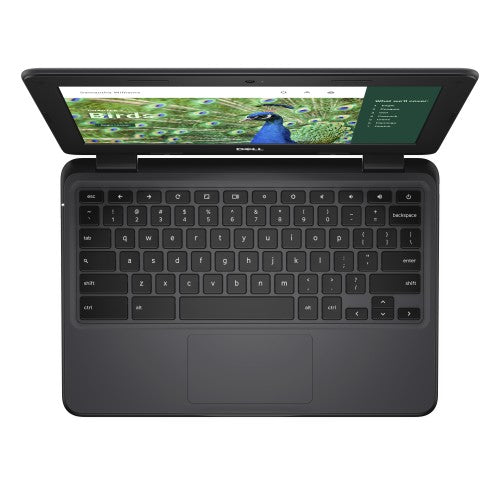 DELL Chromebook 3120 Intel® N N100 11.6" HD 4 GB LPDDR5-SDRAM 64 GB eMMC Wi-Fi 6 (802.11ax) ChromeOS Black US English