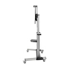 Tripp Lite DMCS60100XX signage display mount 100" Black, Silver