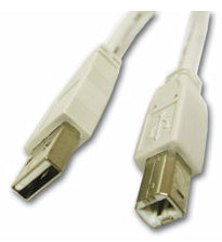 C2G USB 2.0 A/B Cable 2m USB cable 79.1" (2.01 m) USB A USB B White