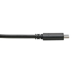 Tripp Lite U428-C03-G2 USB cable USB 3.2 Gen 2 (3.1 Gen 2) 35.4" (0.9 m) USB A USB C Black