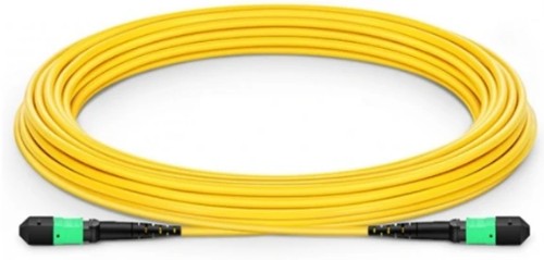 Nvidia MFP7E30-N030 InfiniBand/fibre optic cable 1181.1" (30 m) MPO OFNR Yellow