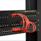 Black Box Cat6, 22.9cm networking cable 9.02" (0.229 m)