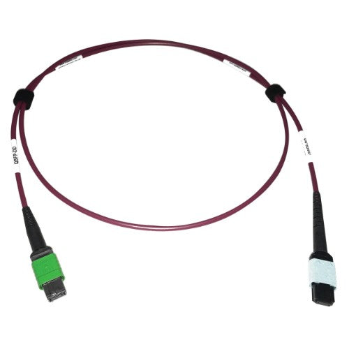 Eaton N846D-01M-16CMG InfiniBand/fibre optic cable 39.4" (1 m) MPO/MTP OFNP Magenta