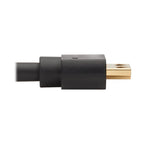 Tripp Lite P582-010-4K6AE video cable adapter 120.1" (3.05 m) DisplayPort HDMI Black