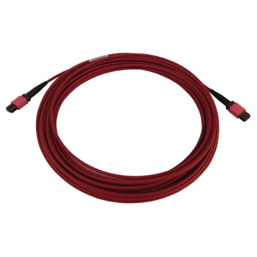 Tripp Lite N845B-10M-12-MG InfiniBand/fibre optic cable 393.7" (10 m) MPO/MTP OFNR Black, Magenta