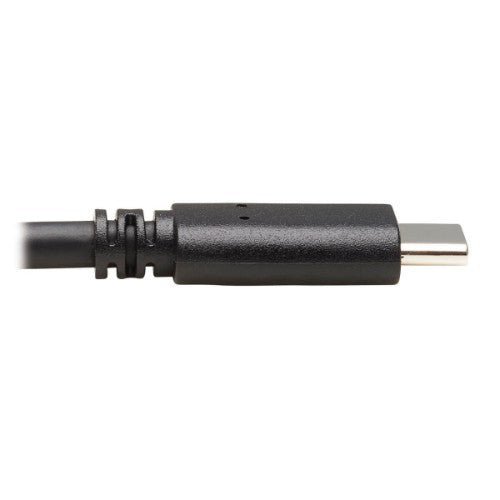 Tripp Lite U428-20N USB cable USB 3.2 Gen 1 (3.1 Gen 1) 19.7" (0.5 m) USB C USB A Black