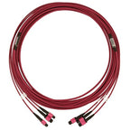 Tripp Lite N858B-10M-3X8MG InfiniBand/fibre optic cable 393.7" (10 m) 3x MTP/MPO OFNR Black, Magenta
