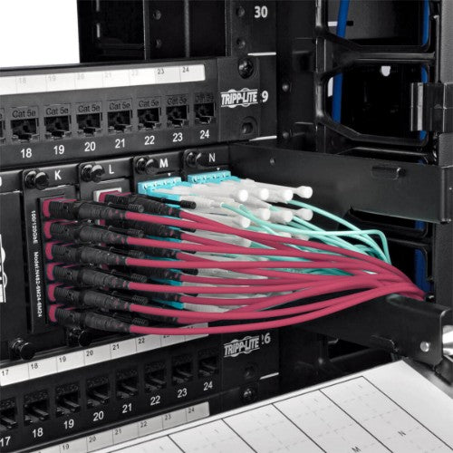 Tripp Lite N845-01M-12-MG InfiniBand/fibre optic cable 39.4" (1 m) MPO/MTP CMP Black, Magenta