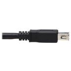 Tripp Lite U330-10M-1 USB cable USB 3.2 Gen 1 (3.1 Gen 1) 393.7" (10 m) USB A 2 x USB A Black