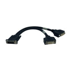 Tripp Lite P576-001 video cable adapter 11.8" (0.3 m) DMS 2 x DVI Black
