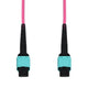 AddOn Networks ADD-MPOMPO-2M5OM4LZ-MA InfiniBand/fibre optic cable 78.7" (2 m) MPO OFNG Aqua color, Magenta