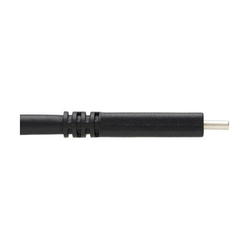 Tripp Lite U420-01M-G25ARA USB cable USB 3.2 Gen 2 (3.1 Gen 2) 39.4" (1 m) USB C Black