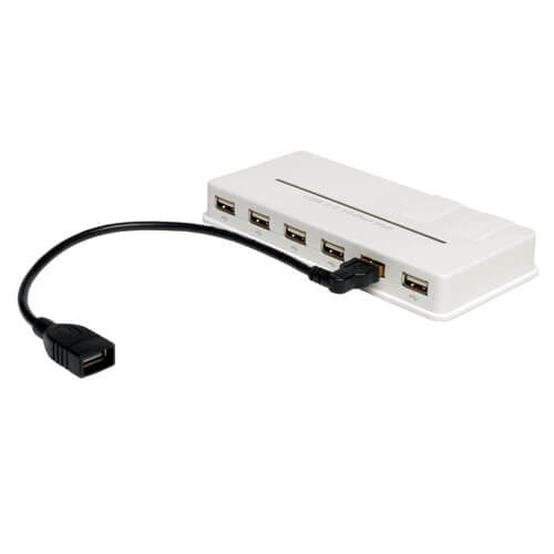 Tripp Lite U005-10I USB cable USB 2.0 9.84" (0.25 m) USB A Black