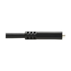 Tripp Lite U421-006 USB cable USB 3.2 Gen 1 (3.1 Gen 1) 72" (1.83 m) USB C Black