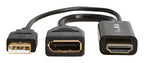 Tripp Lite P130-06N-DP-4K6 video cable adapter 10" (0.254 m) HDMI Type A (Standard) DisplayPort + USB Type-A Black