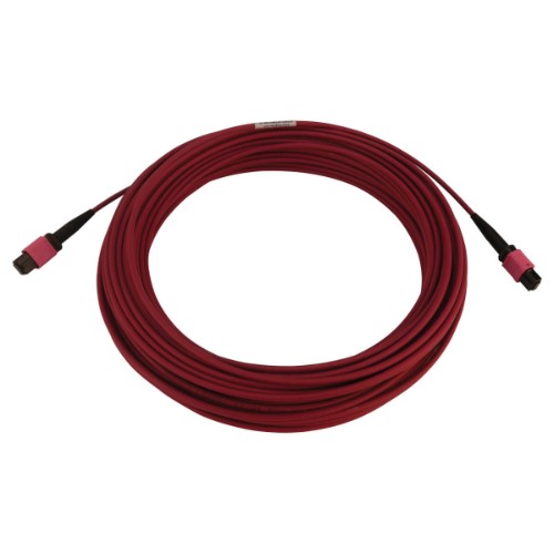 Tripp Lite N845B-20M-12-MG InfiniBand/fibre optic cable 787.4" (20 m) MPO/MTP OFNR Black, Magenta