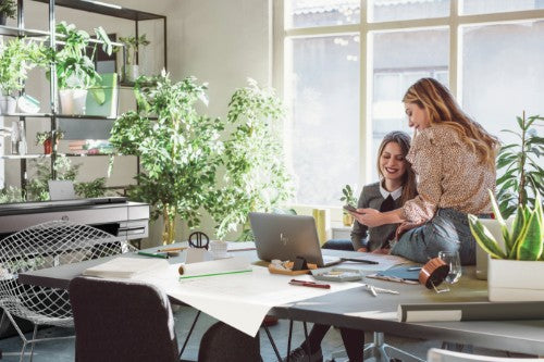 HP Designjet T850 36-in Printer with 2-year Warranty