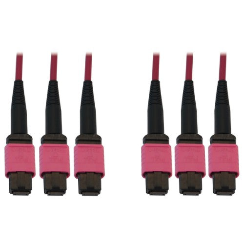 Tripp Lite N858B-10M-3X8MG InfiniBand/fibre optic cable 393.7" (10 m) 3x MTP/MPO OFNR Black, Magenta