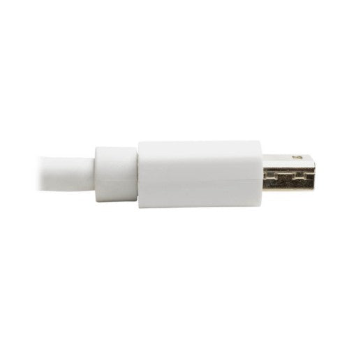 Tripp Lite P139-06N-DP-V2B video cable adapter 5.91" (0.15 m) White