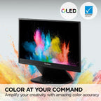 Viewsonic VP Series VP16-OLED computer monitor 16" 1920 x 1080 pixels Full HD Black