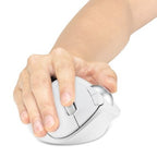 Kensington Ergo TB450 mouse Office Right-hand RF Wireless + Bluetooth Optical 1600 DPI