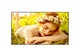 LG 75UL5Q-M signage display Digital signage flat panel 75" LED Wi-Fi 500 cd/m² 4K Ultra HD Black WebOS 24/7