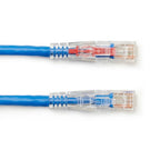 Black Box Cat6 UTP 1.8m networking cable Blue 70.9" (1.8 m) U/UTP (UTP)