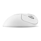Kensington Pro Fit Ergo TB550 mouse Right-hand RF Wireless + Bluetooth Optical 1600 DPI