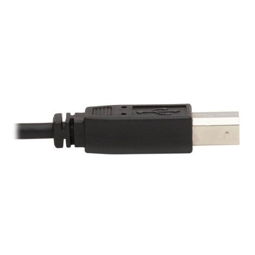 Tripp Lite P783-006 KVM cable Black 72" (1.83 m)