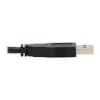 Tripp Lite P783-006 KVM cable Black 72" (1.83 m)