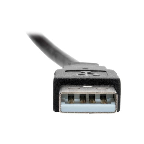 Tripp Lite U024-001-KPA-BK USB cable USB 2.0 11.8" (0.3 m) DisplayPort USB A Black