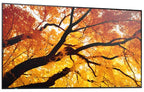 Sharp MultiSync M552 Digital signage flat panel 55" LCD 550 cd/m² 4K Ultra HD Black Touchscreen