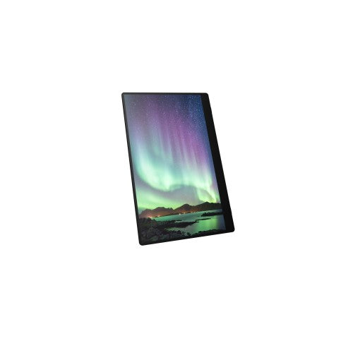 Ricoh 150 Portable monitor Black 15.6" LED 1920 x 1080 pixels