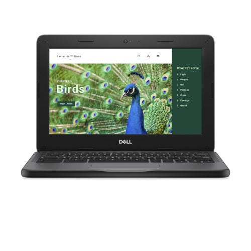 DELL Chromebook 3120 Intel® N N100 11.6" HD 4 GB LPDDR5-SDRAM 64 GB eMMC Wi-Fi 6 (802.11ax) ChromeOS Black US English