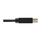 Tripp Lite U328-025-1 USB cable USB 3.2 Gen 1 (3.1 Gen 1) 300" (7.62 m) USB A USB B Black