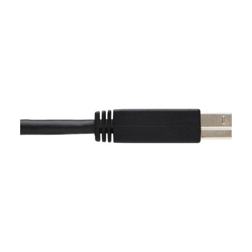 Tripp Lite U328-025-1 USB cable USB 3.2 Gen 1 (3.1 Gen 1) 300" (7.62 m) USB A USB B Black